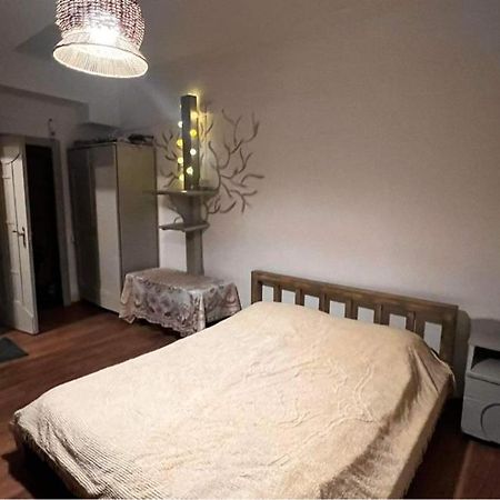 Hotel Mgzavrebi バクリアニ エクステリア 写真