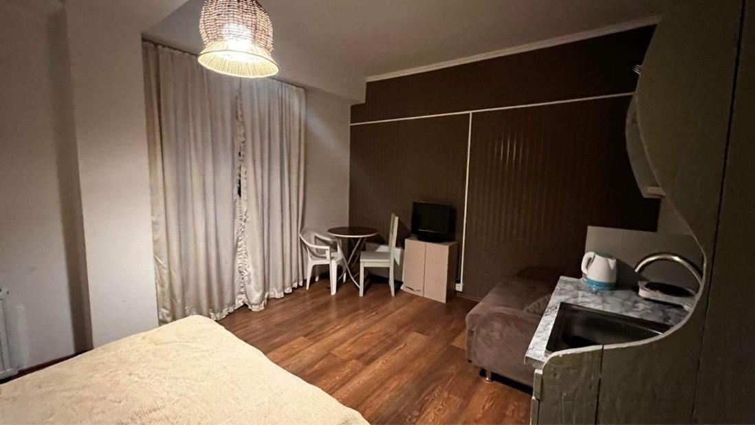 Hotel Mgzavrebi バクリアニ エクステリア 写真