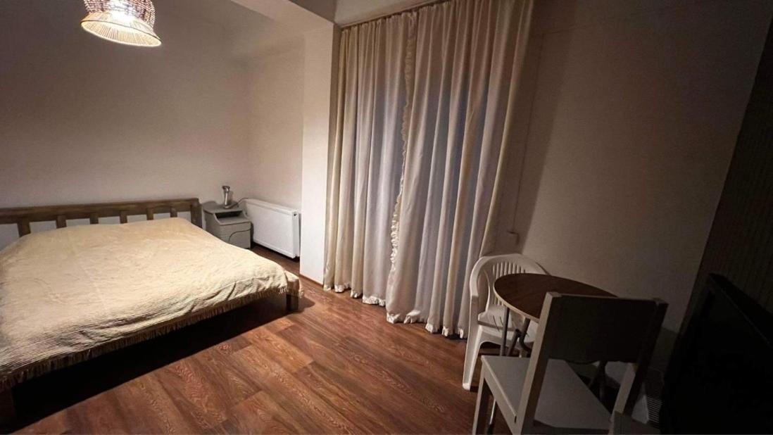 Hotel Mgzavrebi バクリアニ エクステリア 写真