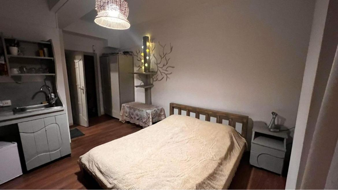 Hotel Mgzavrebi バクリアニ エクステリア 写真