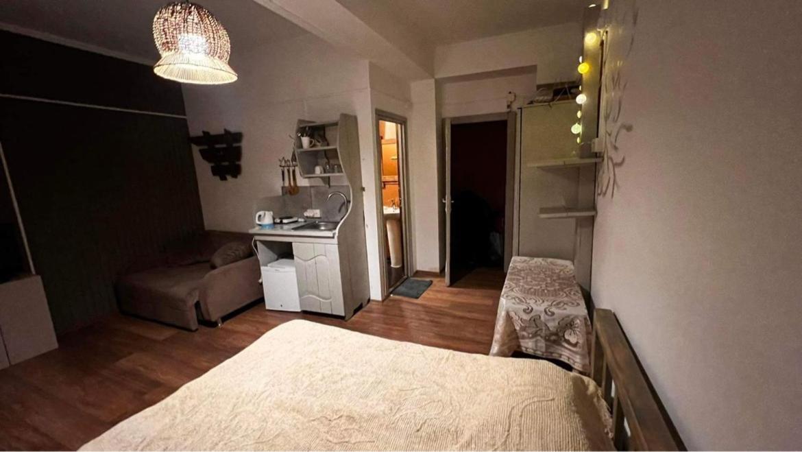 Hotel Mgzavrebi バクリアニ エクステリア 写真