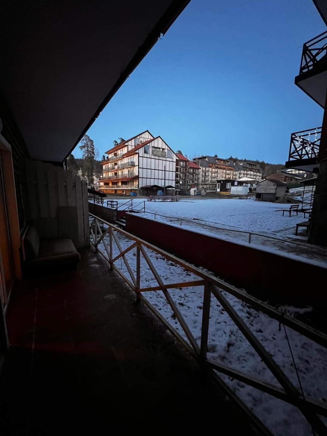 Hotel Mgzavrebi バクリアニ エクステリア 写真