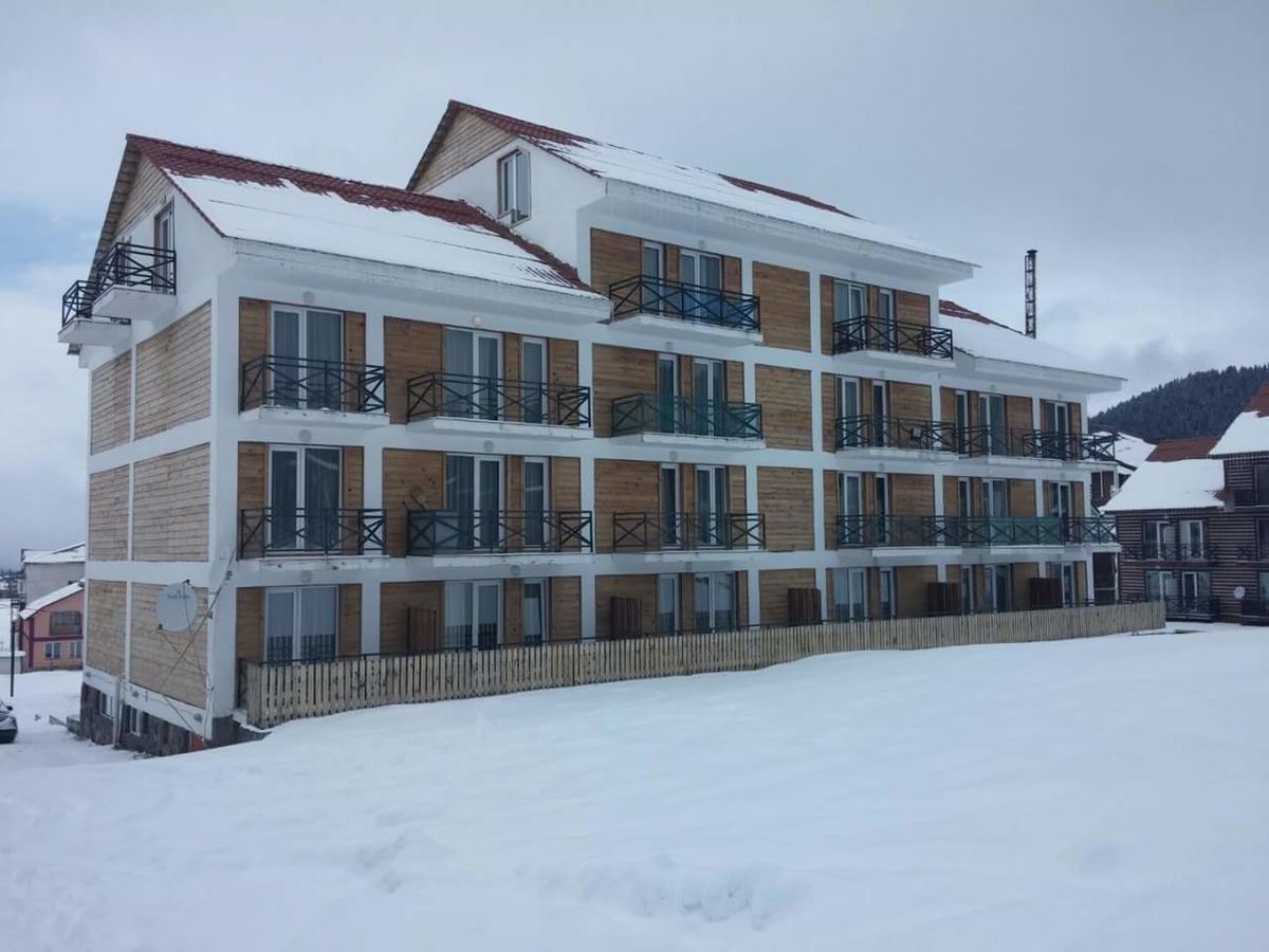 Hotel Mgzavrebi バクリアニ エクステリア 写真