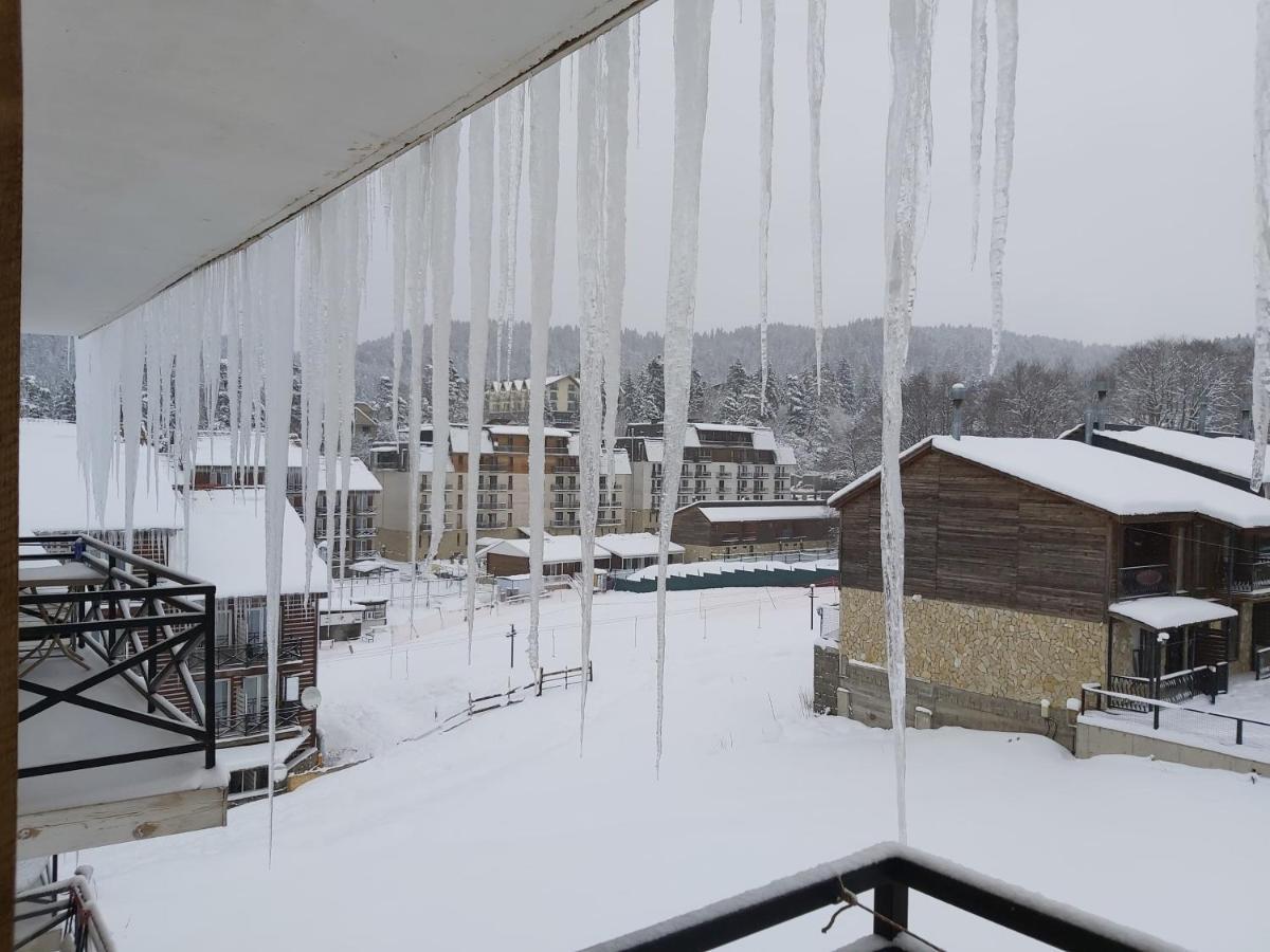 Hotel Mgzavrebi バクリアニ エクステリア 写真