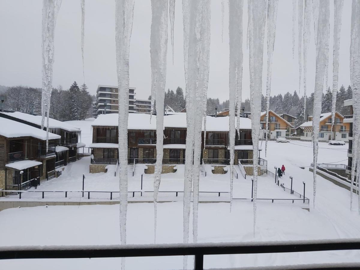 Hotel Mgzavrebi バクリアニ エクステリア 写真
