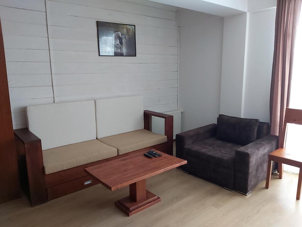 Hotel Mgzavrebi バクリアニ エクステリア 写真